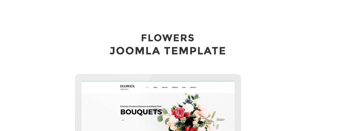 используйте чистый шаблон joomla