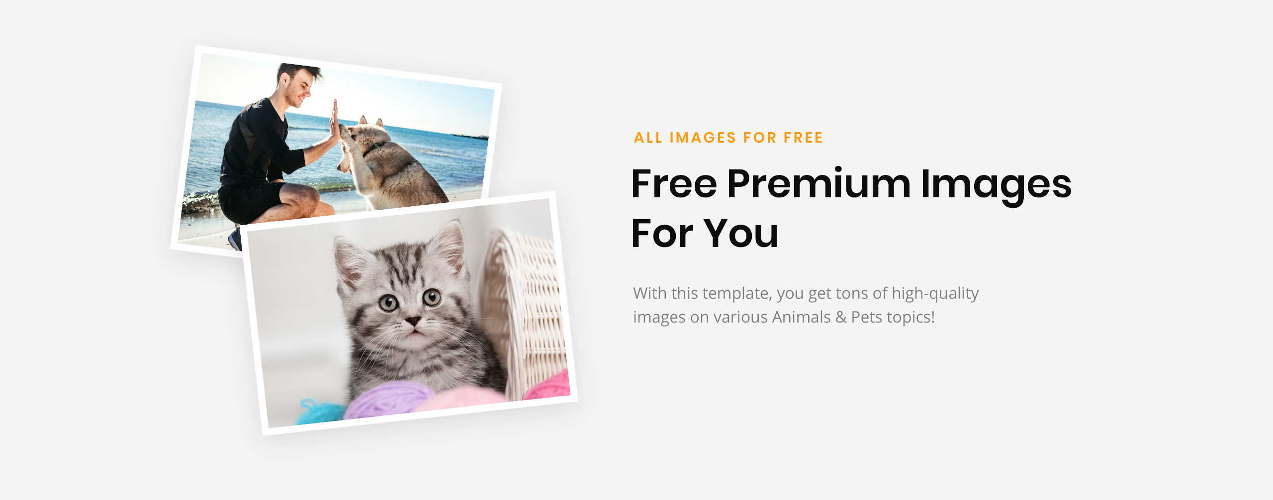 vet pet care clean html шаблон сайта