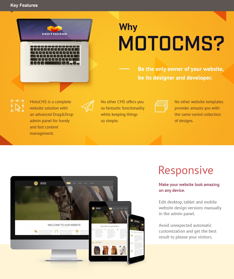 шаблон horse moto cms 3
