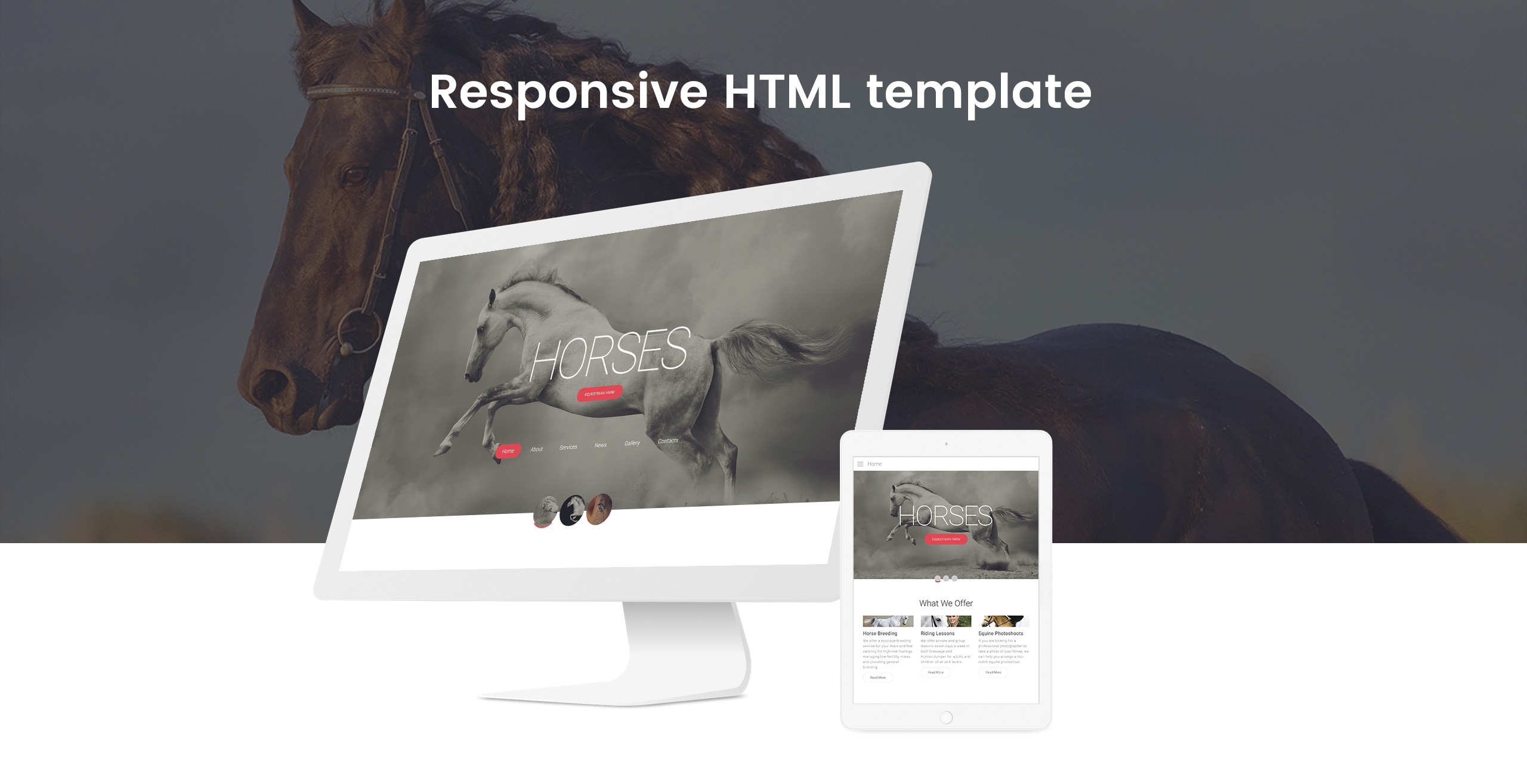 лошадь отзывчивый креативный html шаблон сайта