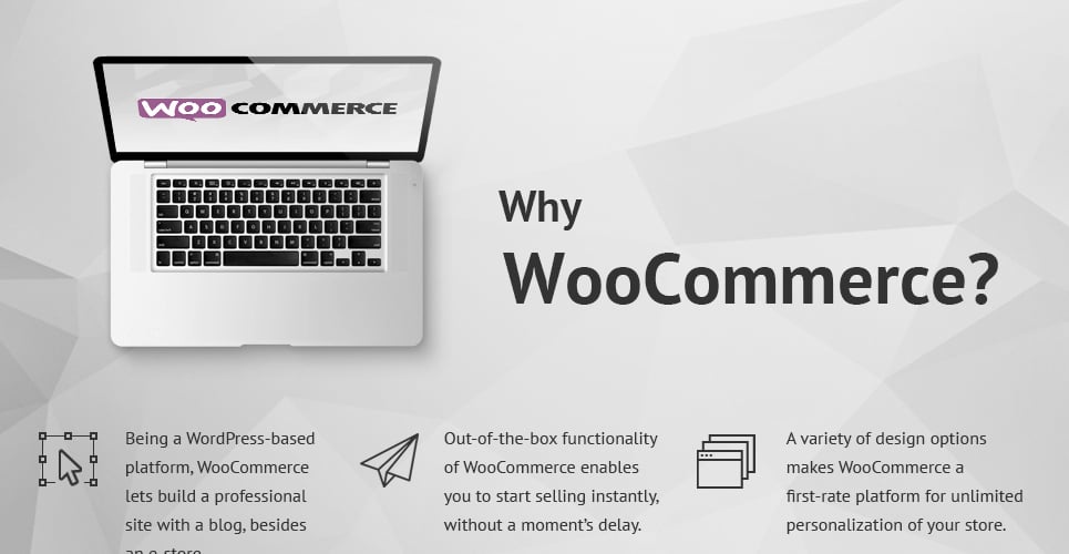 тема mma woocommerce
