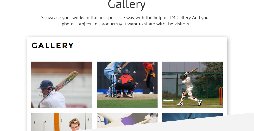 шаблон cricket club joomla