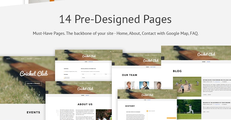шаблон cricket club joomla
