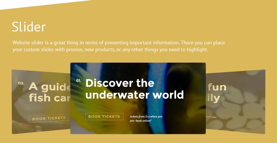 fish responsive landing page template