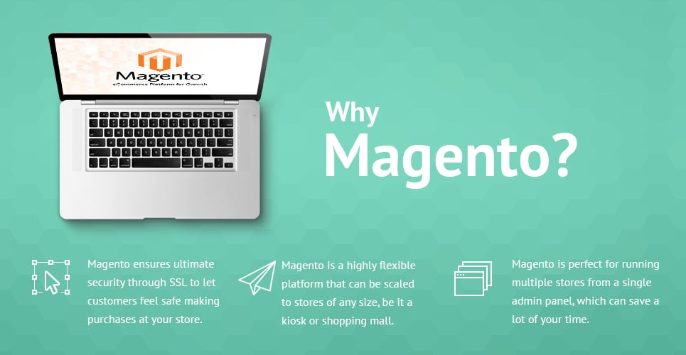 дизайнерская одежда magento theme