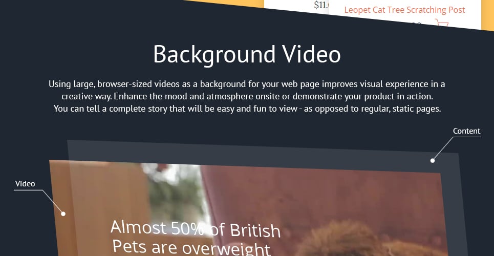 тема animally magento