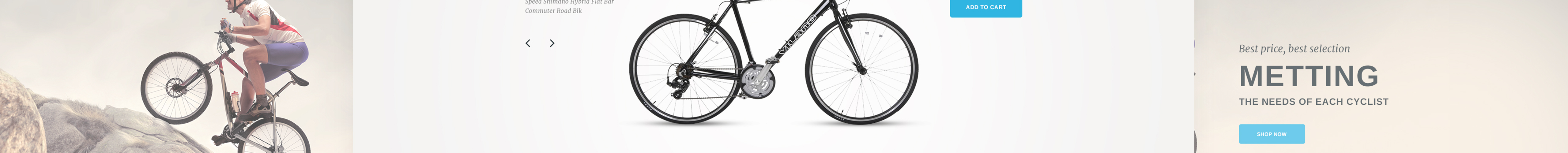 тема bikerita prestashop