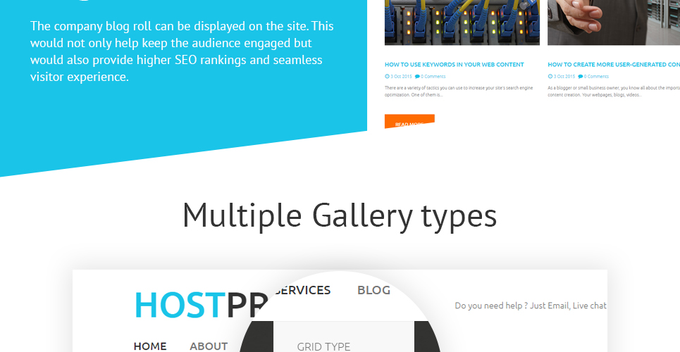 шаблон сайта hostpro
