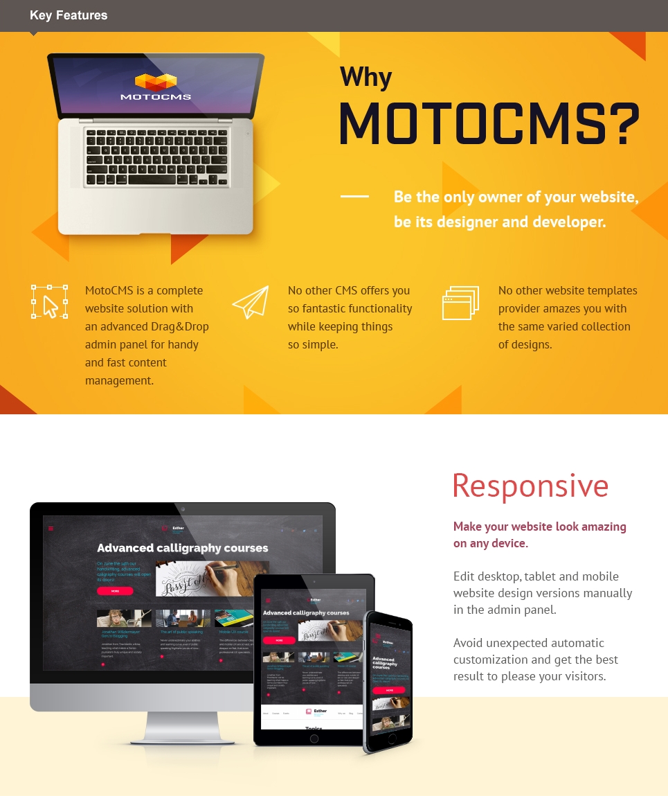 шаблон education moto cms 3