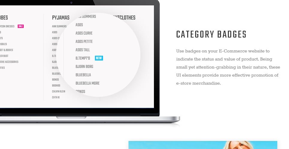 тема paltirea magento