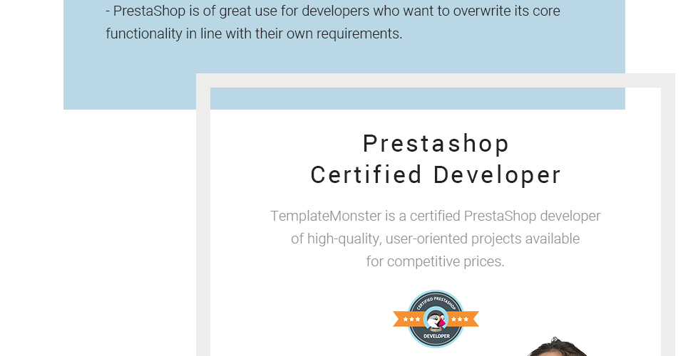 сумочка отзывчивая тема prestashop