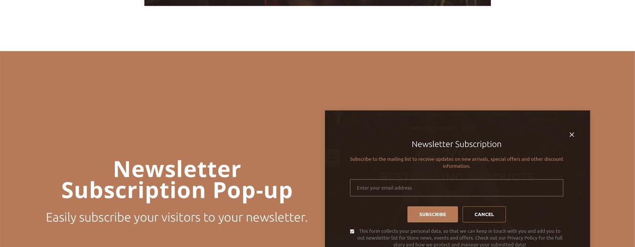 модный бутик magento theme
