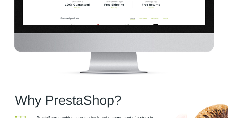 тема prestashop по уходу за кожей