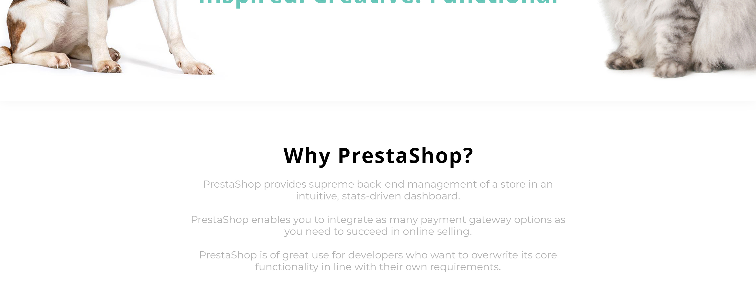 тема petrocope prestashop