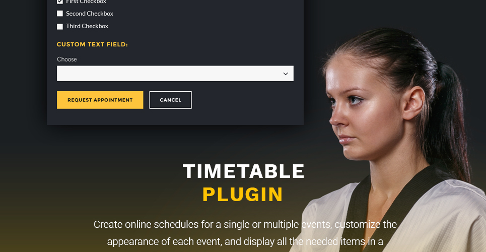 тема wordpress для боевых искусств