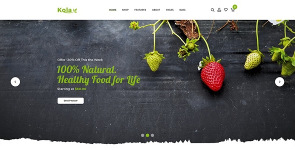 тема health &amp; organic shopify