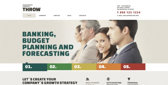 light management company wordpress тема