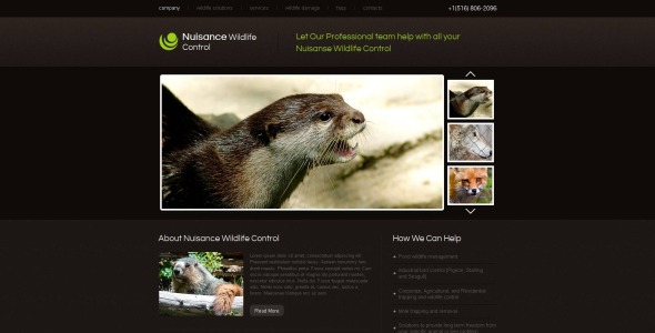 html шаблон wild life moto cms
