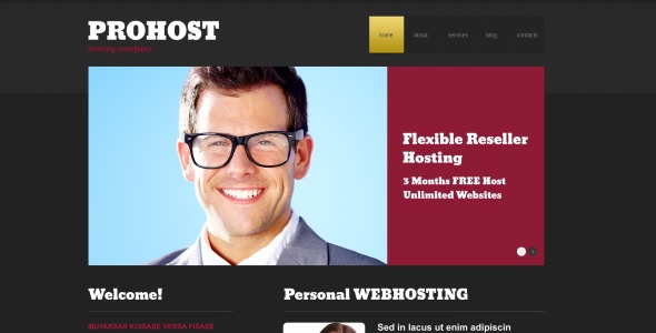 хостинг адаптивной темы wordpress