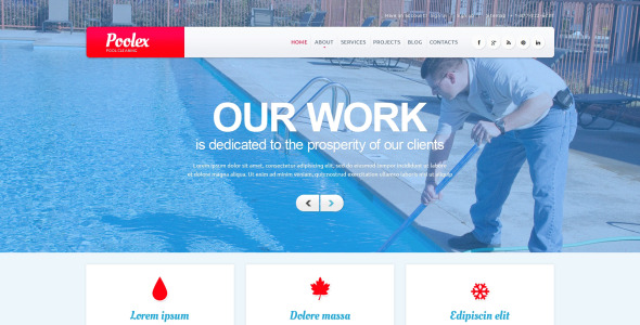 pool cleaning company wordpress тема