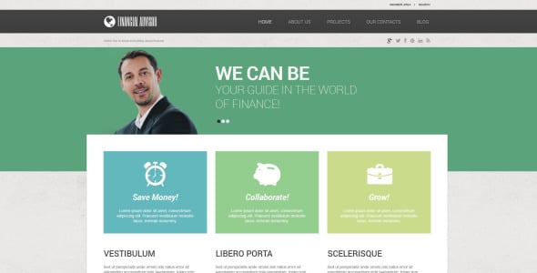 финансовый советник отзывчивая тема wordpress