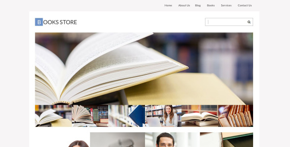 библиотека адаптивной темы wordpress