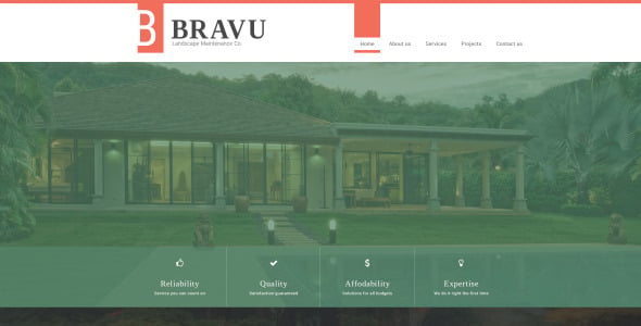 шаблон сайта bravu