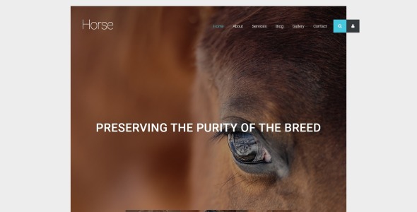 шаблон horse joomla