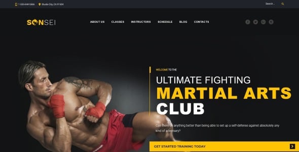 тема wordpress для боевых искусств