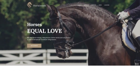 html шаблон horse moto cms