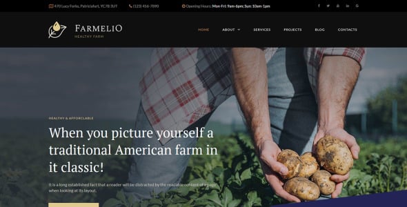 шаблон farm moto cms 3