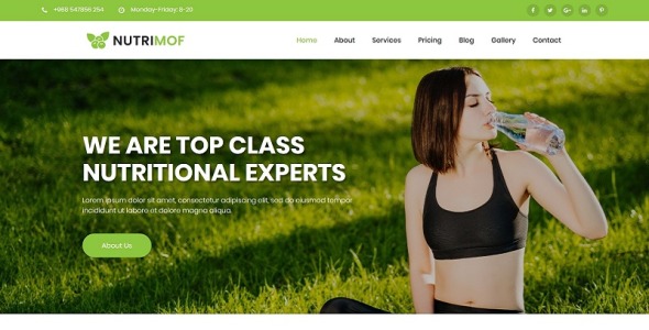 тема wordpress для питания и здоровья