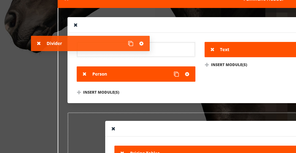 Конный спорт и верховая езда клуб wordpress тема