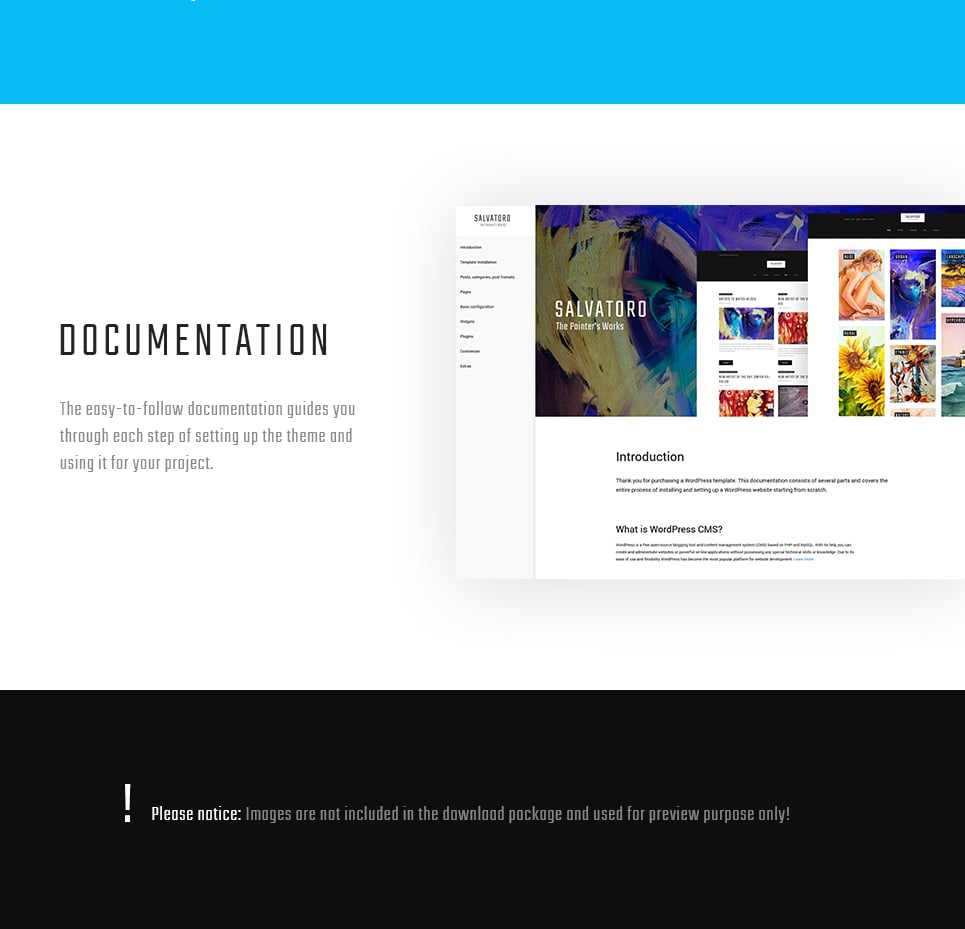тема wordpress salvatoro