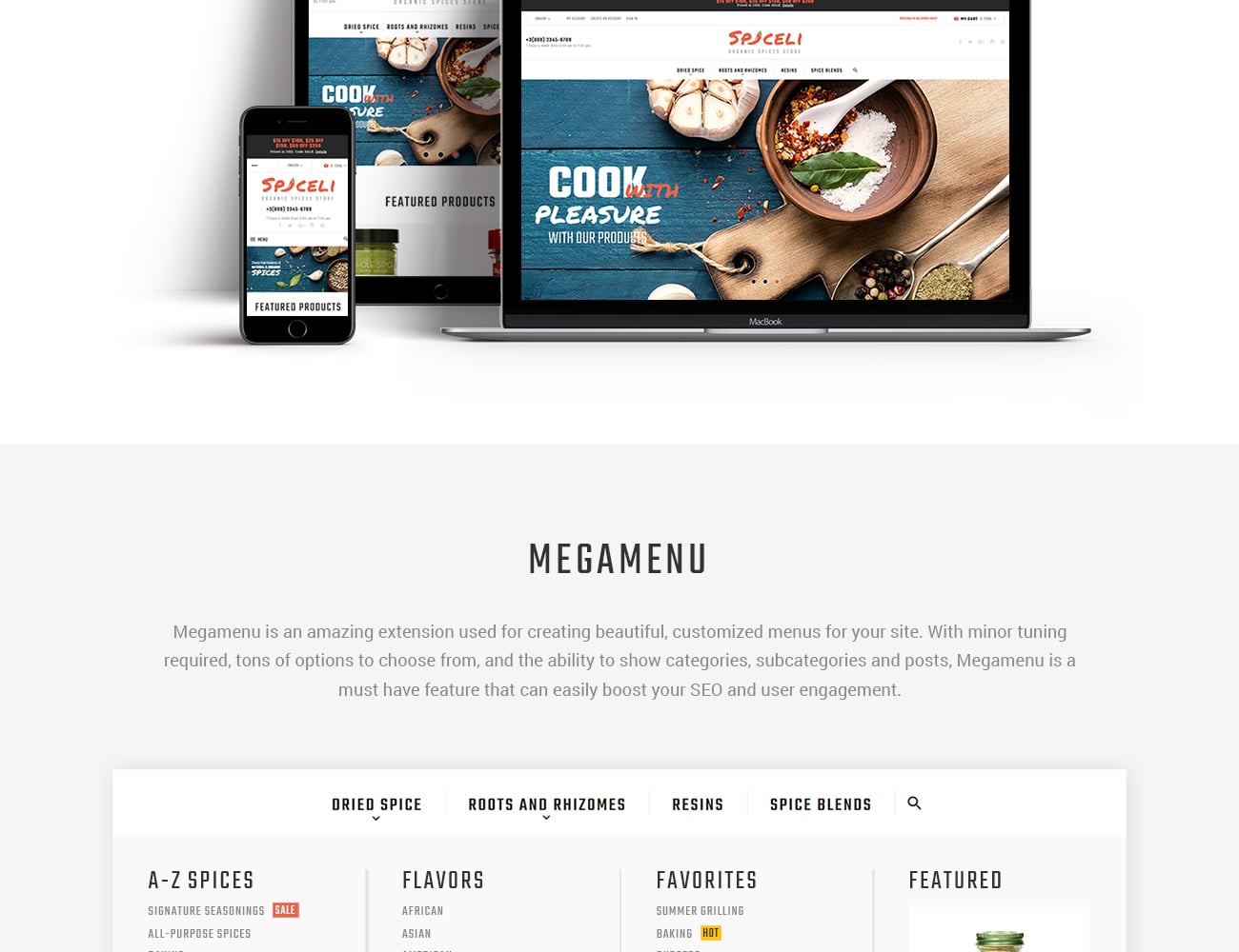 spiceli magento тема