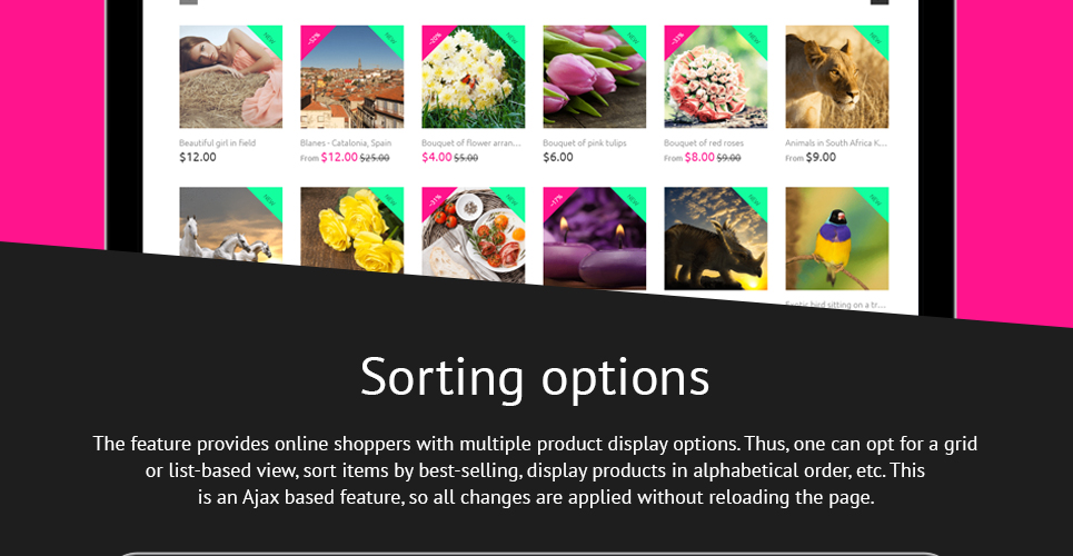 тема photoloro shopify