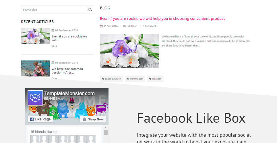 тема photoloro shopify