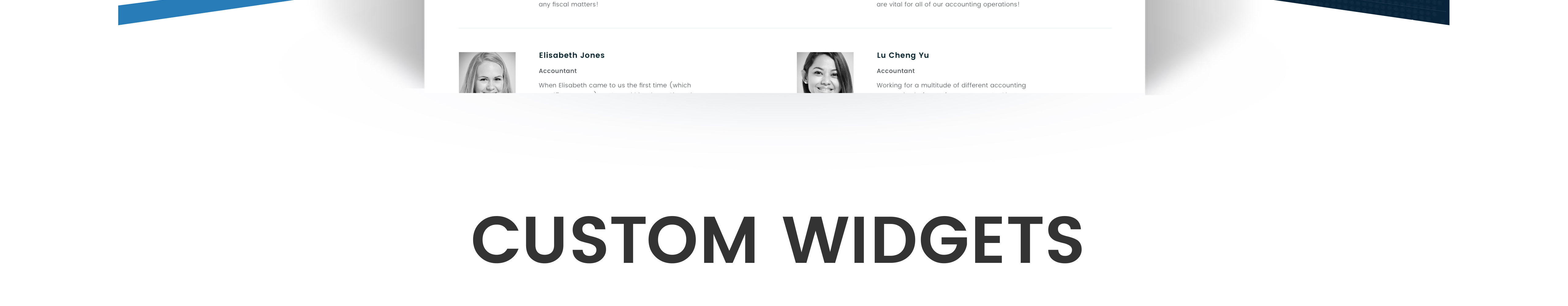 тема wordpress для финансового учета