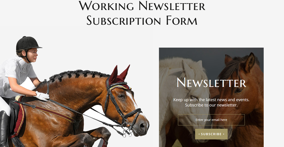 шаблон многостраничного сайта horse club