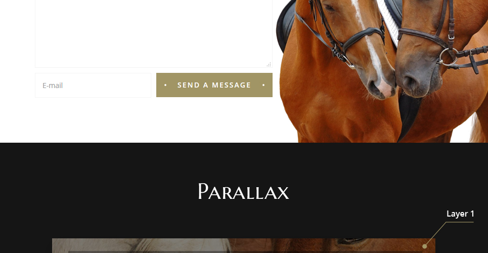шаблон многостраничного сайта horse club