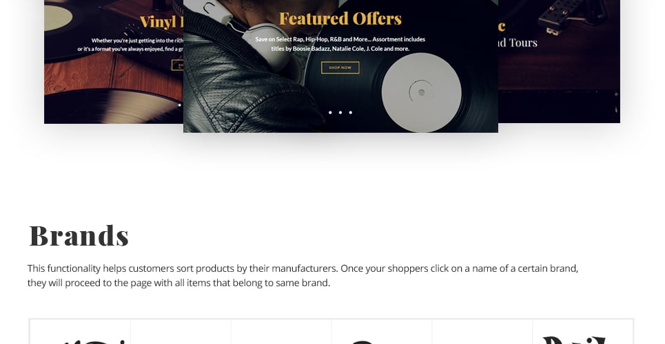 виниловые и аудиопродукты magento theme
