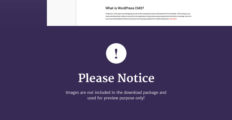 компания по управлению событиями wordpress тема