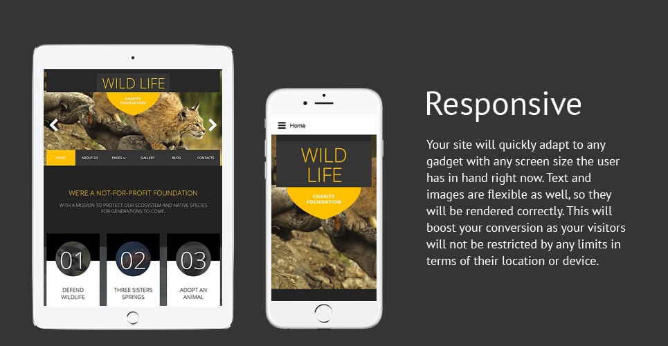 wild life отзывчивый шаблон joomla
