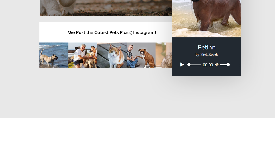 приют для животных отзывчивая тема wordpress