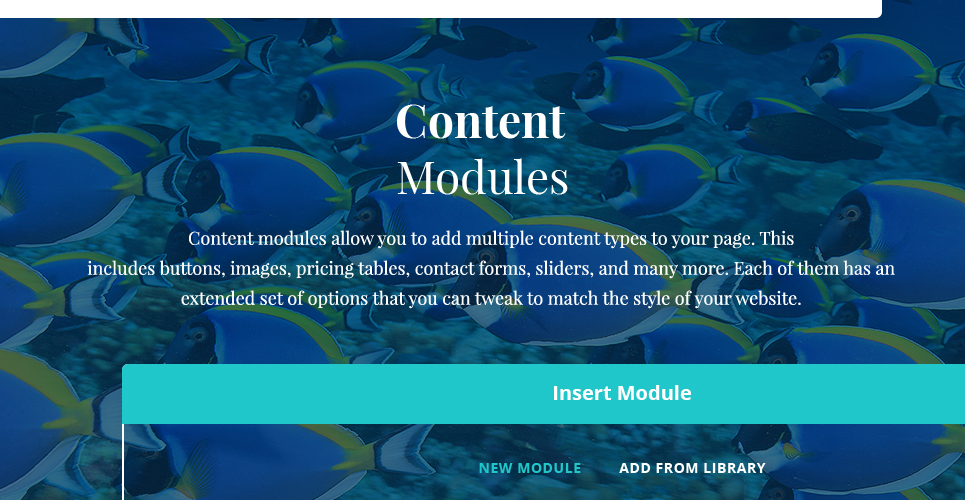 scuba diving club отзывчивая тема wordpress