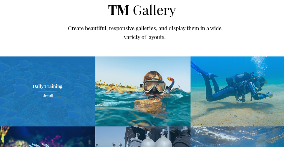 scuba diving club отзывчивая тема wordpress
