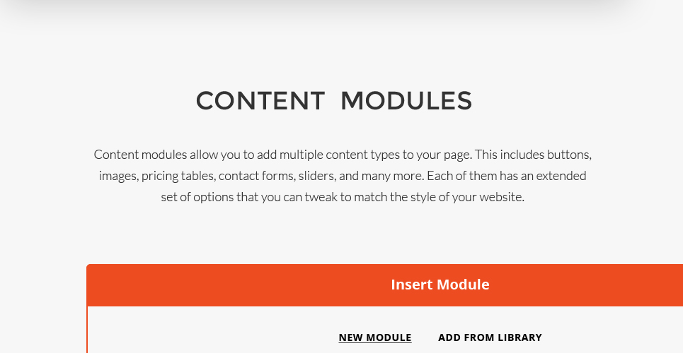 bike courier &amp; package delivery wordpress тема