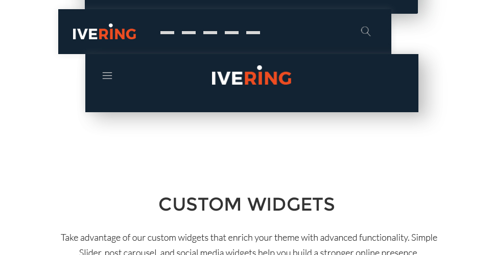 bike courier &amp; package delivery wordpress тема