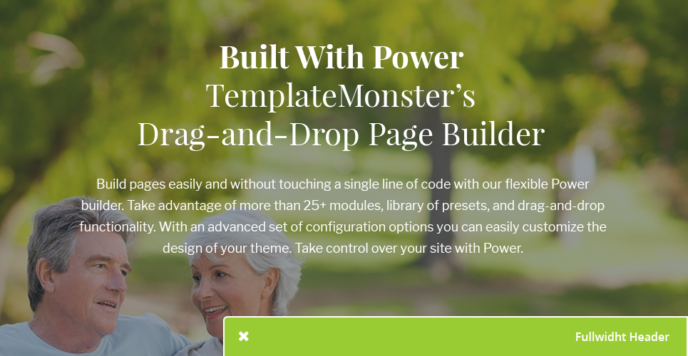 тема wordpress senior care