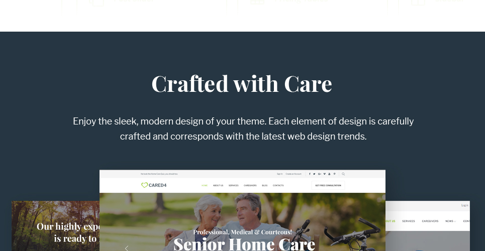 тема wordpress senior care